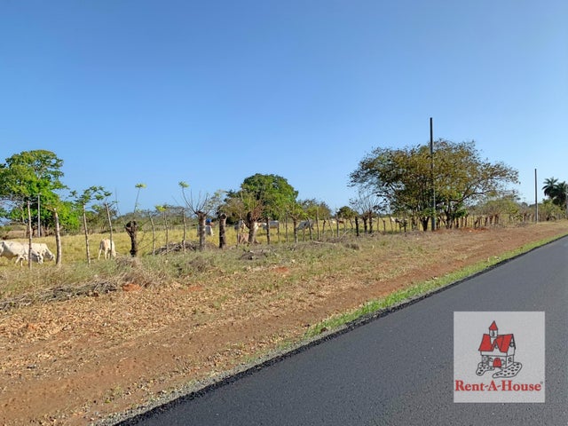 Land for Sale in Los Santos Los Santos 06065